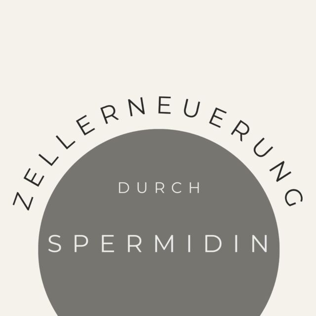 Zellschäden nehmen mit dem Lebensalter zu und der körpereigene Spermidingehalt der Zellen nimmt im Alter stark ab. Spermidin baut alternde und beschädigte Körperzellen ab (Autophagie). 
Aus diesem Grund ist eine spermidinreiche Ernährung (z.B. Weizenkeime, gereifter Käse, Pilze, Hülsenfrüchte, Karfiol oder Brokkoli) besonders wertvoll. 
Um die Spermidinkonzentration im Blut zu erhöhen eignen sich Nahrungsergänzungsmittel oder noch effizienter die Verabreichung über Infusionen. Auch nach Virusinfektionen hat sich die Infusion mit Spermidin als hilfreich erwiesen. 

 #drchristianmatthai #drmatthai 
.
.
.
#Spermidin #Zellschäden #autophagie  #spermidininfusion